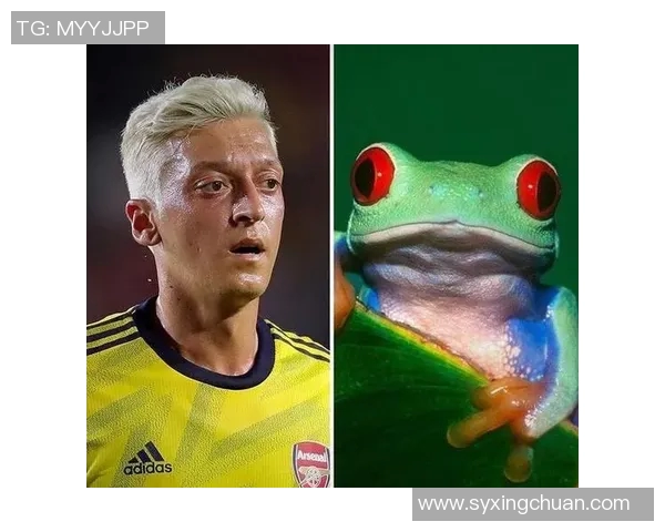 足球明星们的搞笑瞬间与经典表情包大盘点