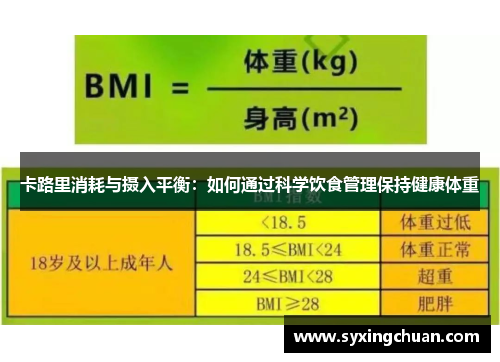 卡路里消耗与摄入平衡：如何通过科学饮食管理保持健康体重